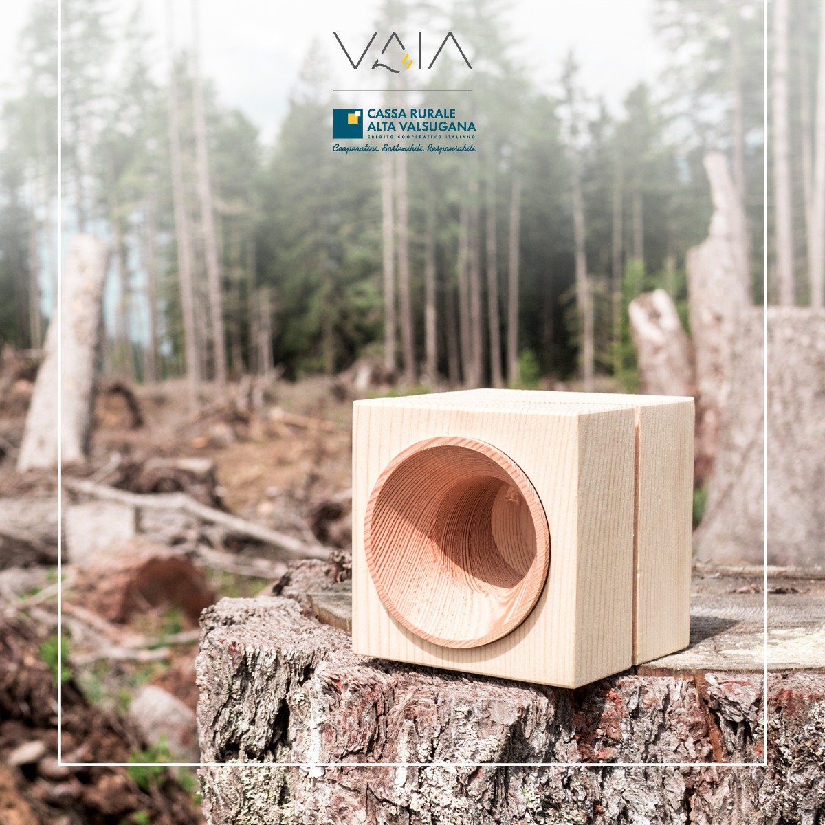 Cassa Rurale Alta Valsugana 2