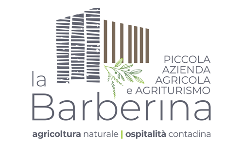 Barberina